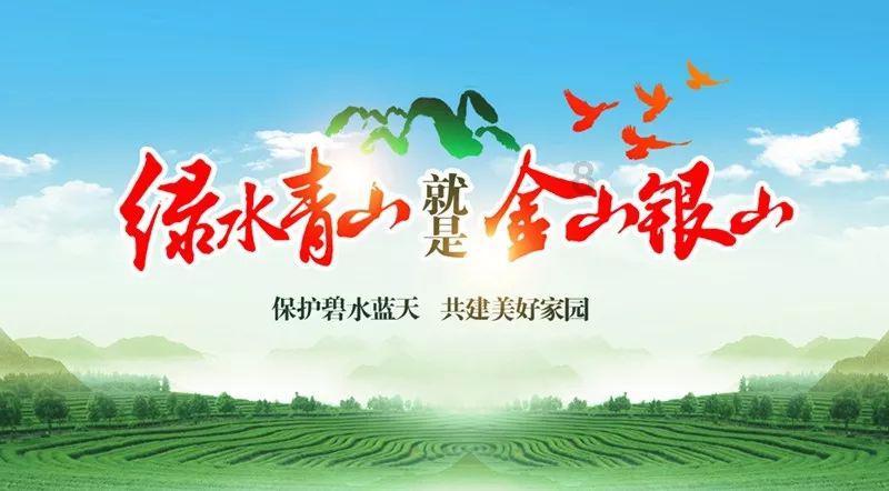 奥斯卡红毯秀